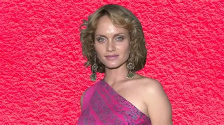 Amber Valletta Net Worth | Celebrity Net Worth