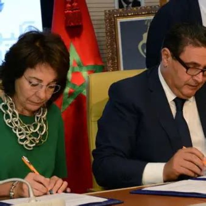 Aziz Akhannouch Net Worth | Celebrity Net Worth