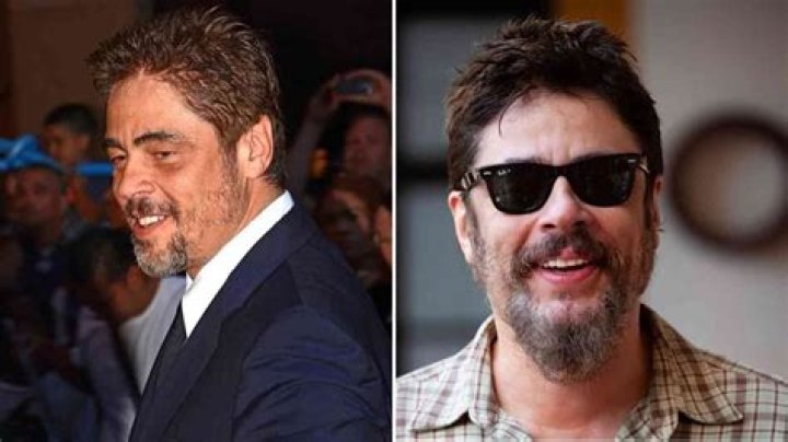 Benicio del Toro Net Worth