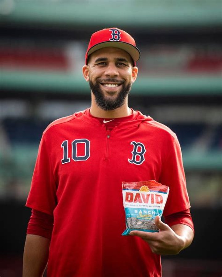 David Price Net Worth | Celebrity Net Worth
