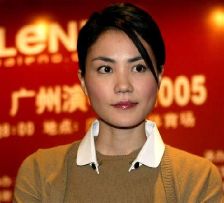 Faye Wong Net Worth | Celebrity Net Worth