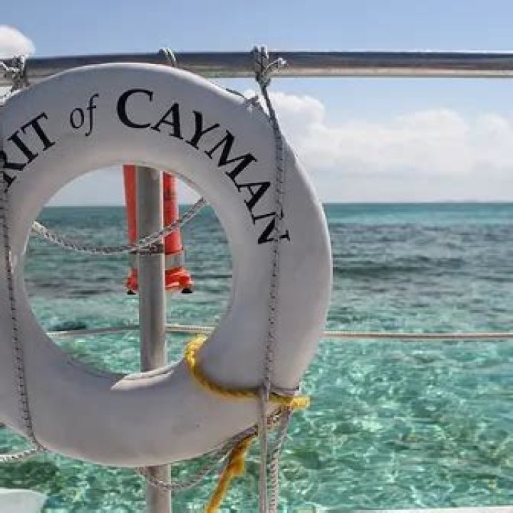 Frank Schilling Net Worth | Celebrity Net Worth