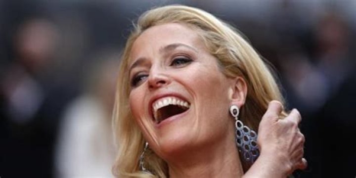 Gillian Anderson Net Worth | Celebrity Net Worth