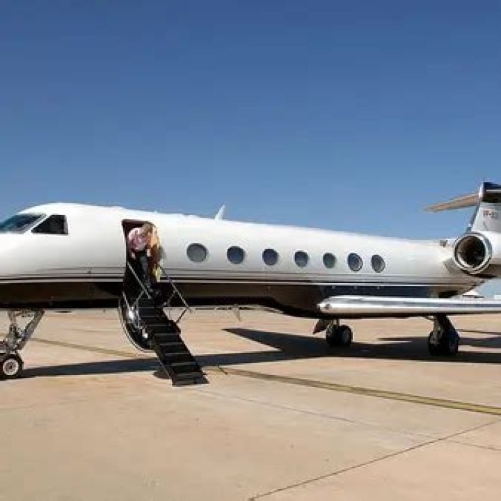 Hillary Clinton Rents Her Private Jet From Instagram Playboy, Dan Bilzerian