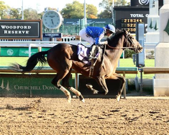 Kentucky Derby Winner Justify Is Self-Made Billionaire's Horse