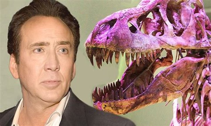 Nicolas Cage Forced To Return $276k Stolen Dinosaur Skull