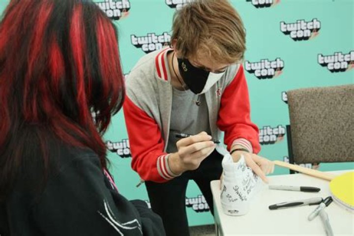 RanbooLive Net Worth | Celebrity Net Worth