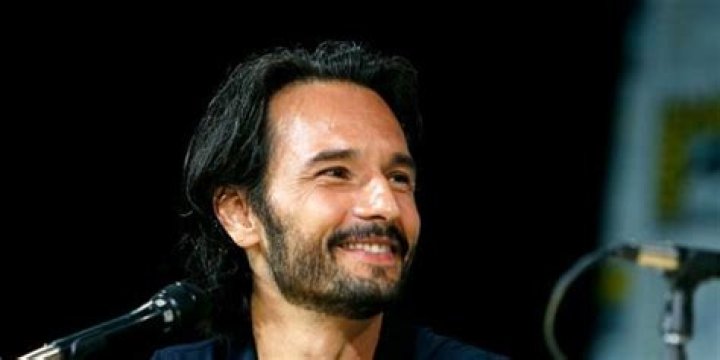 Rodrigo Santoro Net Worth | Celebrity Net Worth