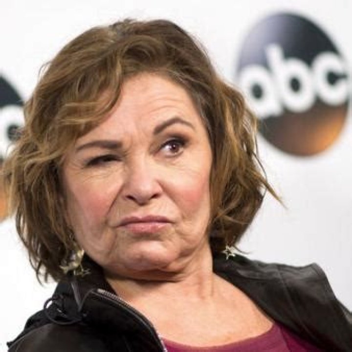 Roseanne Barr Net Worth | Celebrity Net Worth