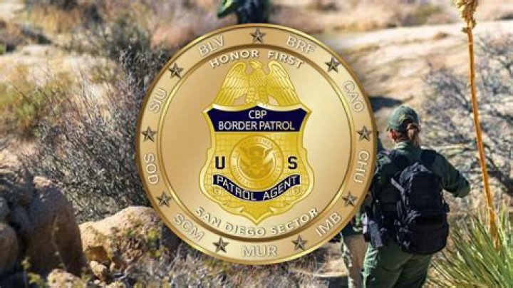 San Diego Border Patrol Stumbles Upon $3 Million Drug Money