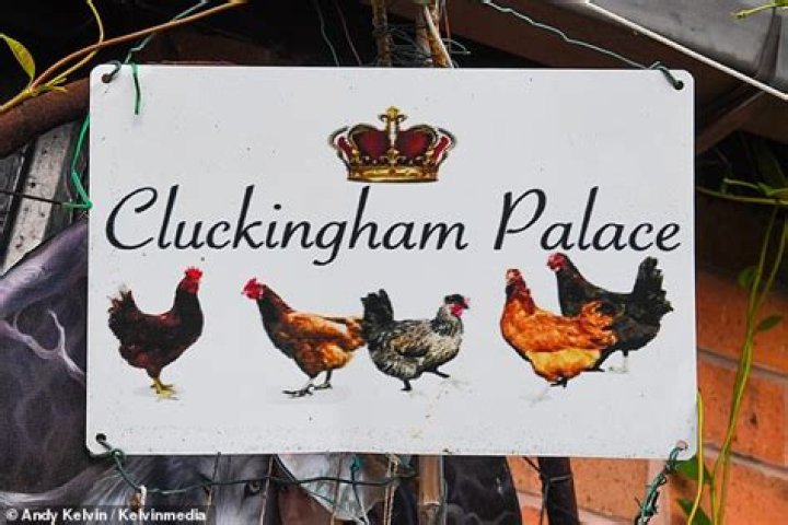 The House That Pilgrim's Pride Chicken Built Called "Cluckingham Palace" Is Up For Auction