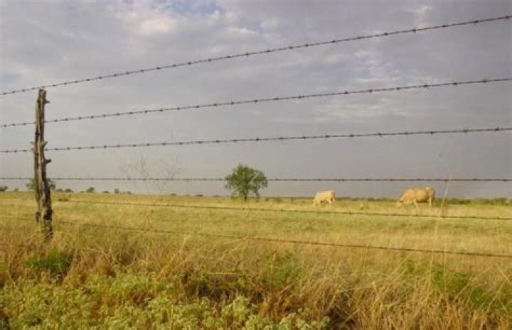 Wal-Mart Heiress Rolls Back Prices On Luxury Ranches