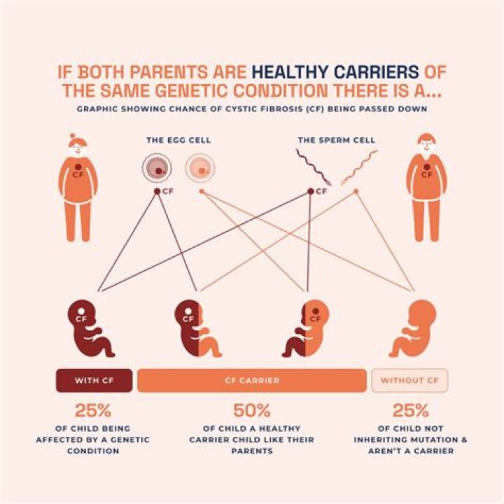 What Are Your Chances Of Being A Rags To Riches Story?